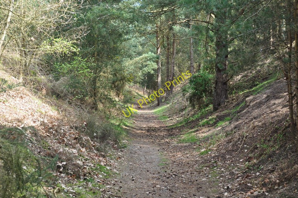Photo 6"x4" Southwold Railway Cutting Blythburgh c2010