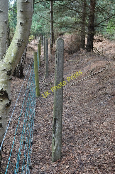 Photo 6"x4" Southwold Railway Concrete Posts Walberswick c2010