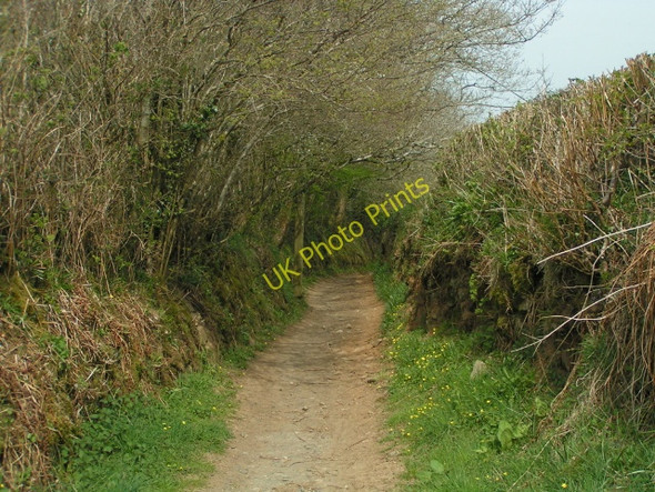 Photo 6"x4" Footpath \/ cyclepath on National Cycle Route 27 Peter Tavy c2010