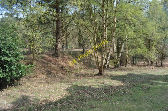 Photo 6"x4" Southwold Railway Embankment Blythburgh c2010