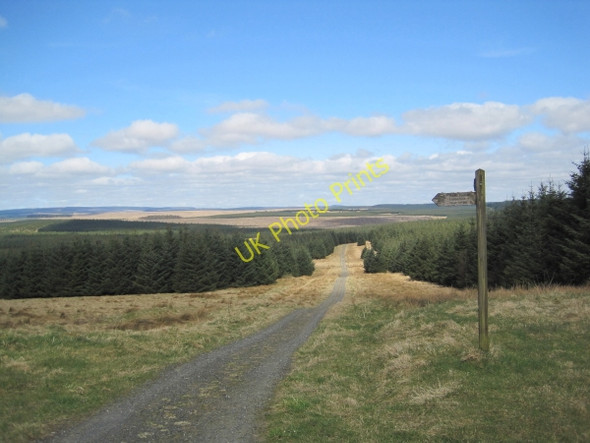 Photo 6"x4" Forestry Road and Footpath Sign Sweet Sike c2010