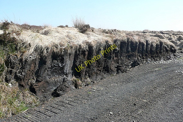 Photo 6"x4" Forestry road on Slievecallan Connolly c2010 P2