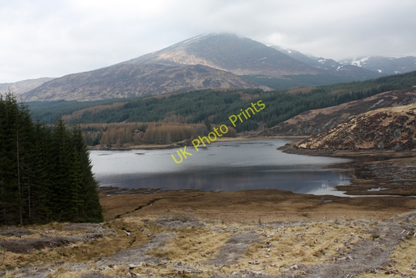 Photo 6"x4" A clear felled area in Corrour Forest Torgulbin c2010
