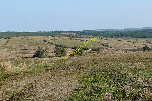 Photo 6"x4" Looking across Fermoyle Outeragh Connolly c2010