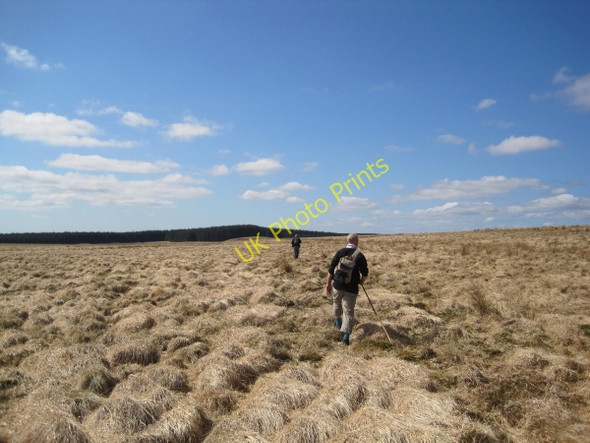 Photo 6"x4" Footpath across The Rakes towards the River Irthing Hag Sike c2010