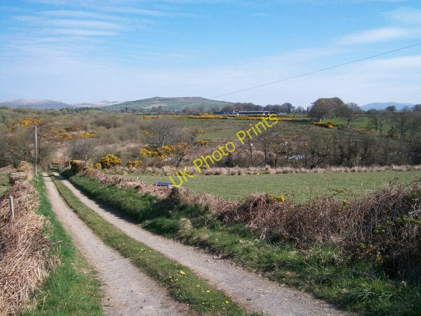 Photo 6"x4" Farm road to Bryn Penrhyn Llanarmon c2010