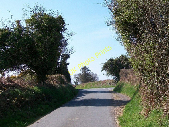 Photo 6"x4" Approaching a T-junction in the Penarth Fawr road Llanarmon c2010