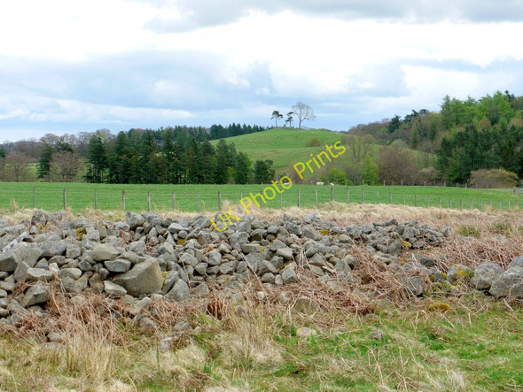 Photo 6"x4" Cairn south of Ilderton Moor Ilderton c2010