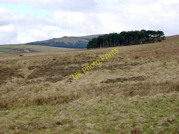 Photo 6"x4" Moorland south of Heddon Hill Ilderton c2010