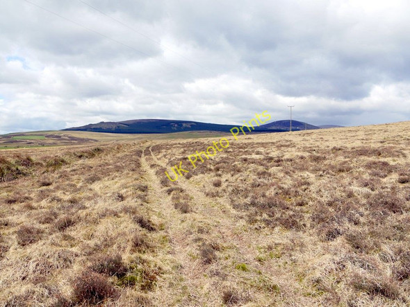 Photo 6"x4" Track south of Heddon Hill Ilderton c2010