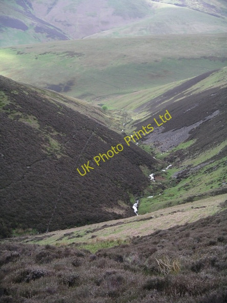 Photo 6"x4" Blackhopebyre Burn Lamb Law\/NT3544 c2006