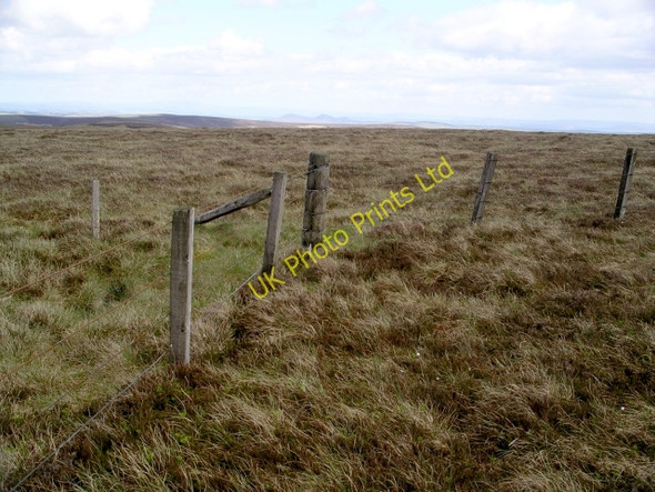 Photo 6"x4" Fence angle, Pringle's Green Pringles Green c2006