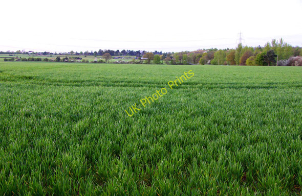 Photo 6"x4" Arable field from Cuddesdon Road Wheatley\/SP5905 c2010