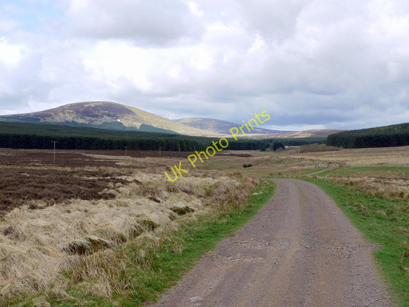 Photo 6"x4" Towards Threestoneburn House Ilderton c2010