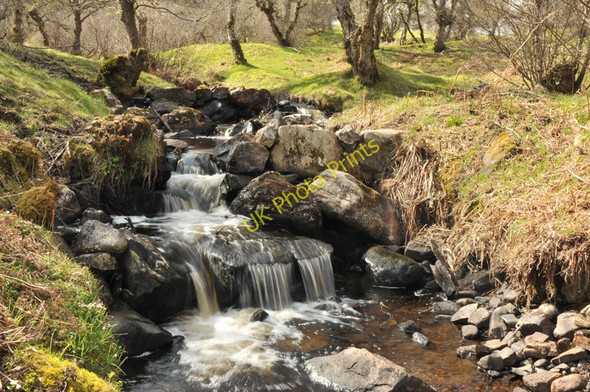 Photo 6"x4" Top of the salmon ladder Little Torboll c2010