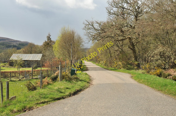 Photo 6"x4" Minor road near Backies Backies\/NC8302 c2010
