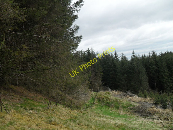 Photo 6"x4" Near Old Dinnings Knowe Old Johnstone c2010
