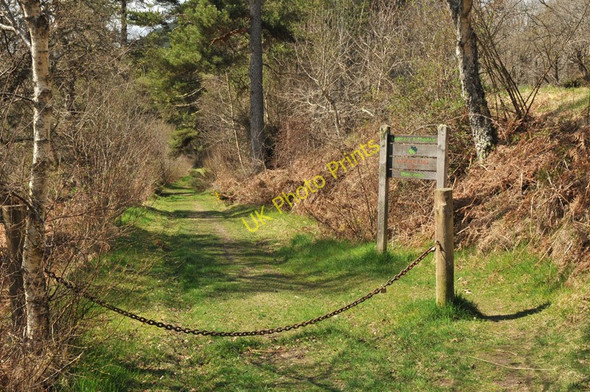 Photo 6"x4" Track through the woods near Migdale Spinningdale c2010