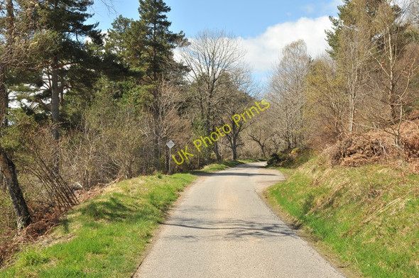 Photo 6"x4" Road near Spinningdale Spinningdale c2010