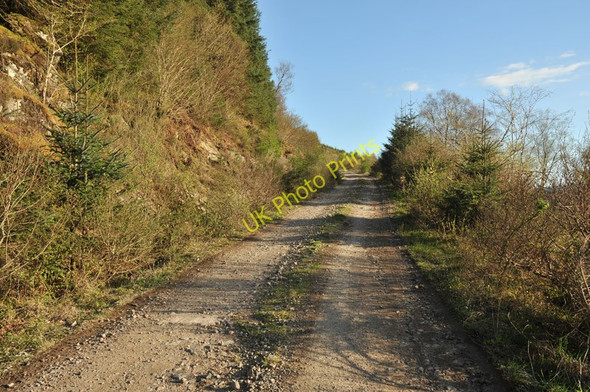Photo 6"x4" Forestry road near Inverawe Corfhouse c2010