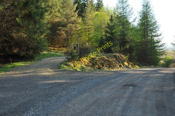 Photo 6"x4" Forest roads in Inverawe Forest Corfhouse c2010