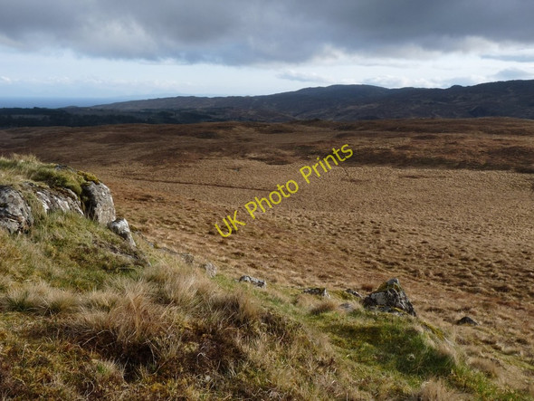 Photo 6"x4" Rough grass on Beinn Buidhe, Ardnamurchan Glenmore River\/NM5863 c2010
