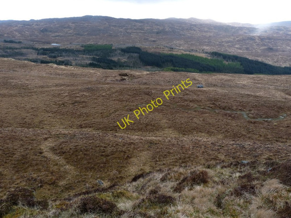 Photo 6"x4" Extending forest  in Glenmore, Ardnamurchan Glenmore River\/NM5863 c2010