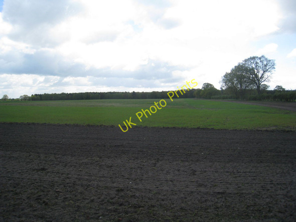 Photo 6"x4" Looking towards Park Plantation from Station Road Knaith Park c2010