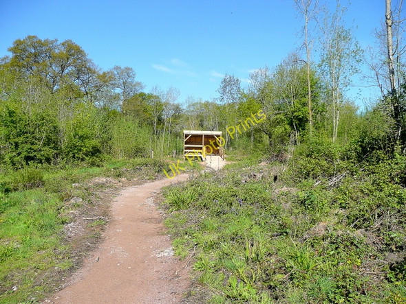 Photo 6"x4" Newly-built hide Bulley c2010