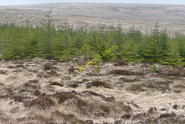Photo 6"x4" Towards Slievecallan Connolly c2010