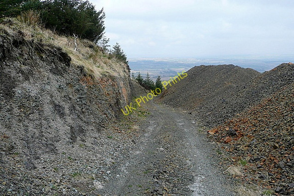 Photo 6"x4" Forestry track at Boolinrudda Inagh c2010