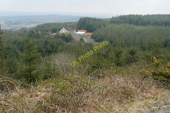 Photo 6"x4" Smallholding at Boolinrudda Inagh c2010