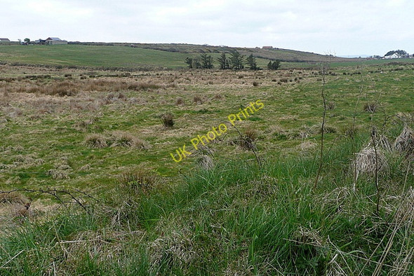 Photo 6"x4" Rough grazing at Knockbrack Milltown Malbay c2010