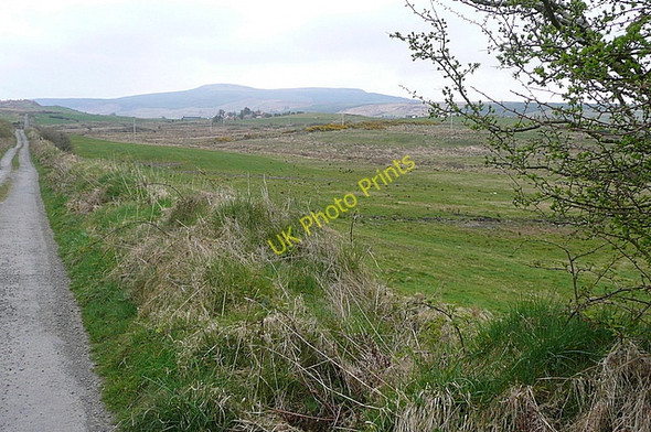 Photo 6"x4" Lane to Cloghaun More Milltown Malbay c2010