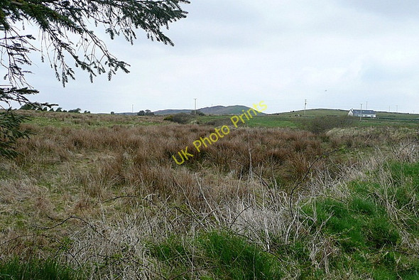 Photo 6"x4" Rough grazing at Cloghaun More Milltown Malbay c2010