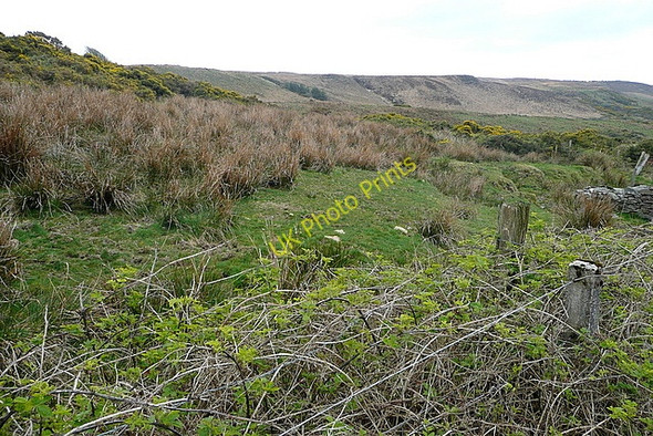 Photo 6"x4" Lane at Glendine North Milltown Malbay c2010