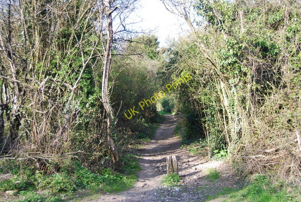 Photo 6"x4" The North Downs Way Wouldham c2010