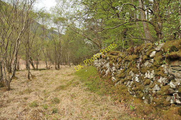 Photo 6"x4" Wall surrounding a small group of trees near Loch Leven Glencoe\/NN1058 c2010