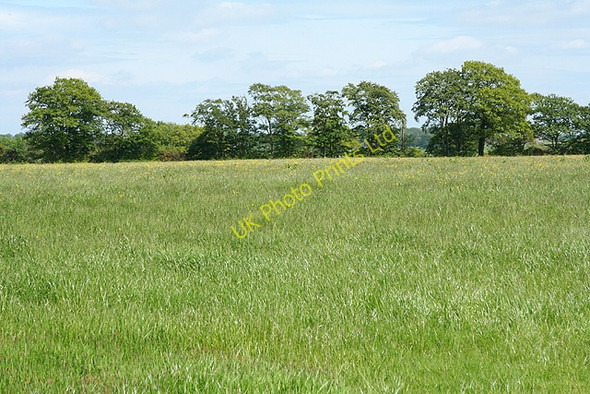 Photo 6"x4" Churchstanton: Ring Down Burnworthy c2006