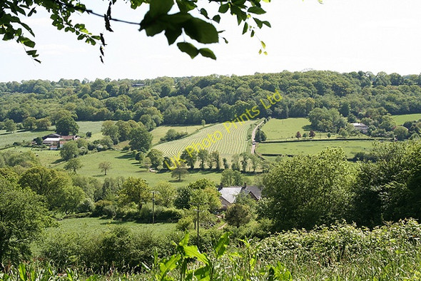Photo 6"x4" Clayhidon: overlooking the Bolham valley Biscombe c2006