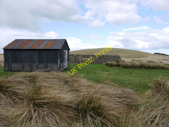 Photo 6"x4" Hut & sheepfold south-east of The Dod Ilderton c2010