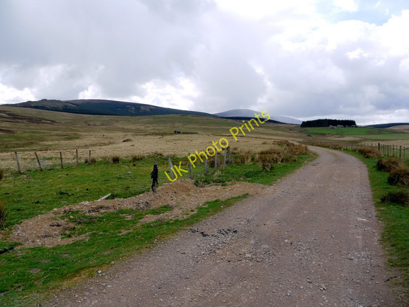 Photo 6"x4" Track between Calder and The Dod Ilderton c2010