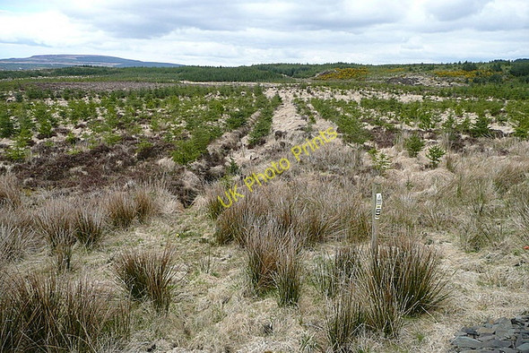Photo 6"x4" Across the square Connolly c2010