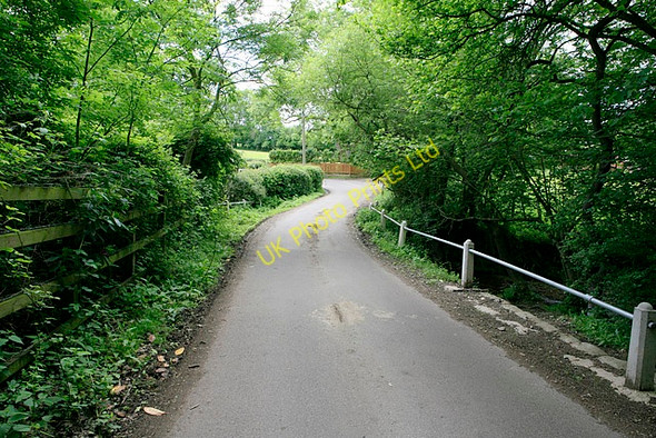 Photo 6"x4" Shobley Road at Shobley Bottom Linford\/SU1806 c2006