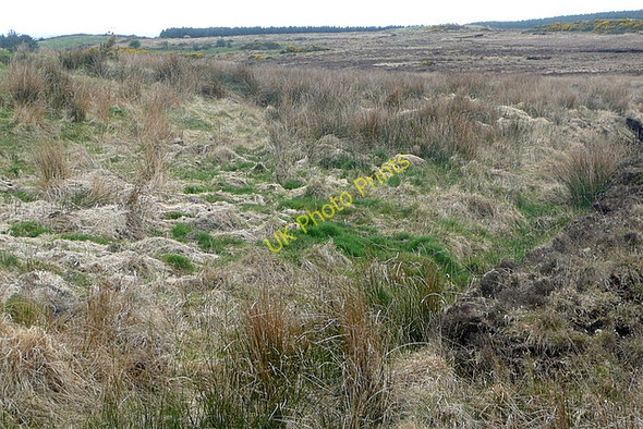 Photo 6"x4" Moorland at Cahermurphy Kilmihil c2010