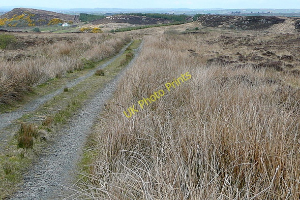 Photo 6"x4" Track from Lough Nacrag Kilmihil c2010