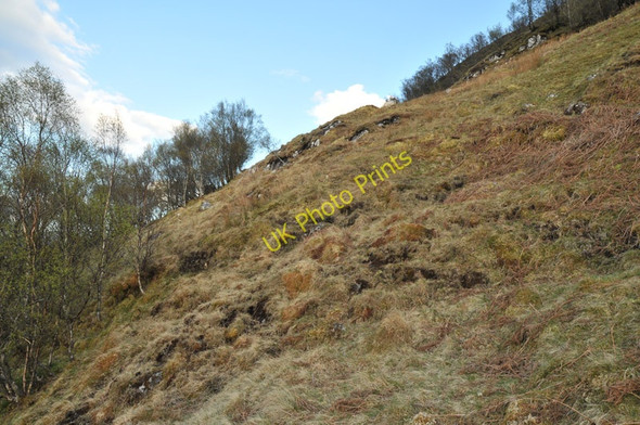 Photo 6"x4" Rough grazing on the slopes of Creag Ghorm South Ballachulish c2010