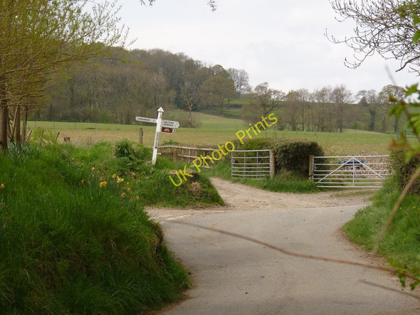 Photo 6"x4" Hayrish Cross Taw Green\/SX6597 c2010