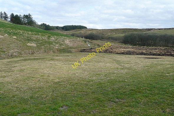 Photo 6"x4" Pasture at Carncreagh Connolly c2010