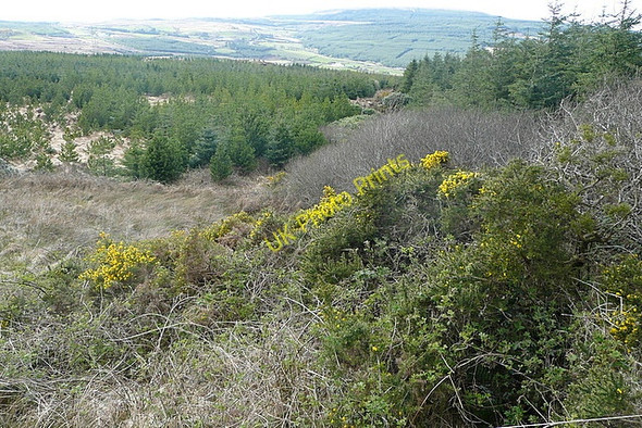 Photo 6"x4" View across the square Connolly c2010